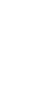 Arrow White