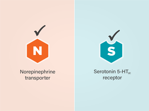 Two important checmicals of the brain: Norepinephrine and Serotonin 5-HT₂C 